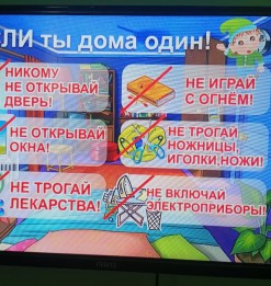 WhatsApp_Image_2024-05-21_at_17.23.54.jpeg