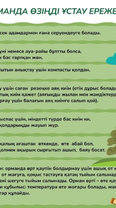 WhatsApp_Image_2024-05-29_at_12.08.22_1.jpeg