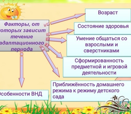 WhatsApp_Image_2024-11-01_at_13.15.07_3.jpeg